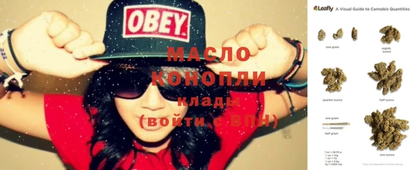 МДПВ Туринск