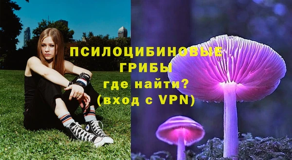 МДПВ Туринск