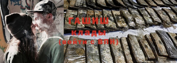 МДПВ Туринск