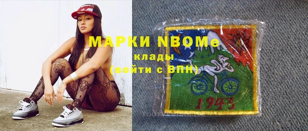 МДПВ Туринск