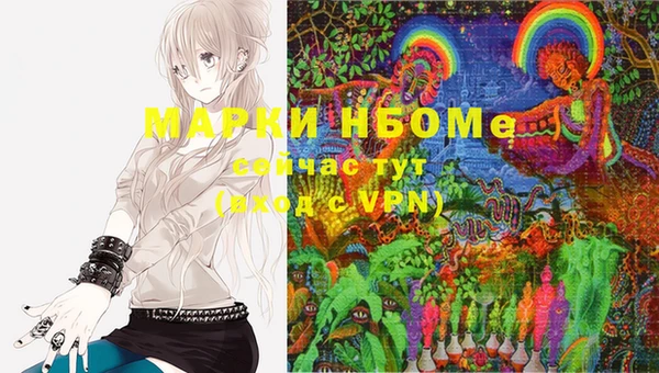 МДПВ Туринск