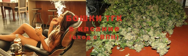 МДПВ Туринск