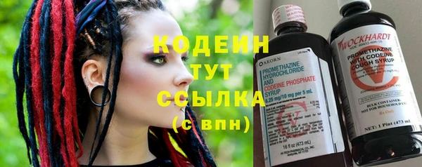 МДПВ Туринск