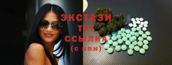 МДПВ Туринск