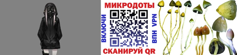 Псилоцибиновые грибы прущие грибы  Купить закладки  Жигулёвск 